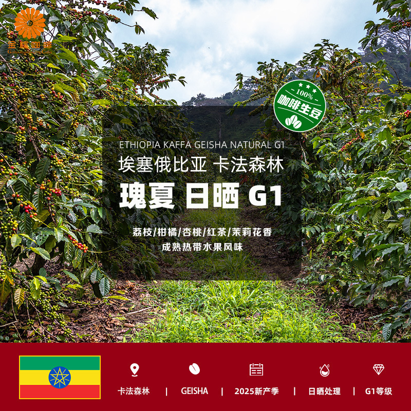 Golden Zong Coffee Ethiopian Imported Kaffale Forest Rose Summer Sun-Dried G1 Coffee Beans 2025 New Crop Season