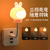 Little Night Lantern USB plug -in bedroom baby feed milk light remote control time LED lighting night light children's sleeping light