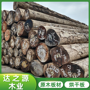 �_֮Դ�R��˹�S��̴ԭľ�������_�T��С�^��ɰ��ľ��