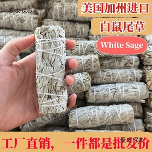 ����β����������White Sage������޹�ȃ������g��Ѫ��ѩ����̫��