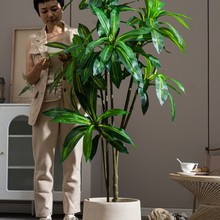 ͷGֲľ߶pݷ٘b҃ȿ͏d[