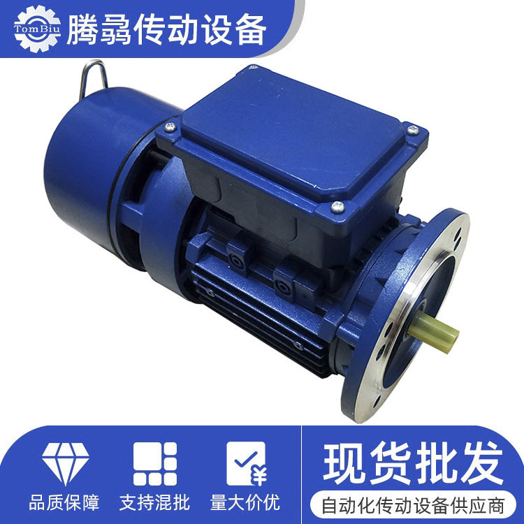 意大利BRUNI三相异步交流刹车电机0.9~220KW 编码器变频刹车马达