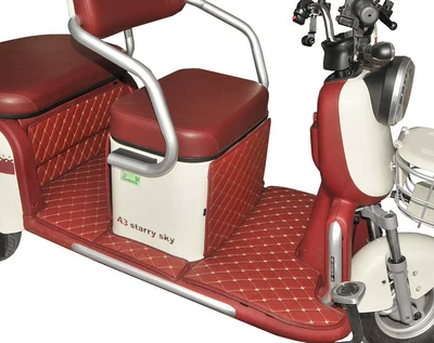 Xiaoniao, Jinpeng, Daima, Lima Electric vehicle foot mat - diamond-pattern-wine-red-full-coverage