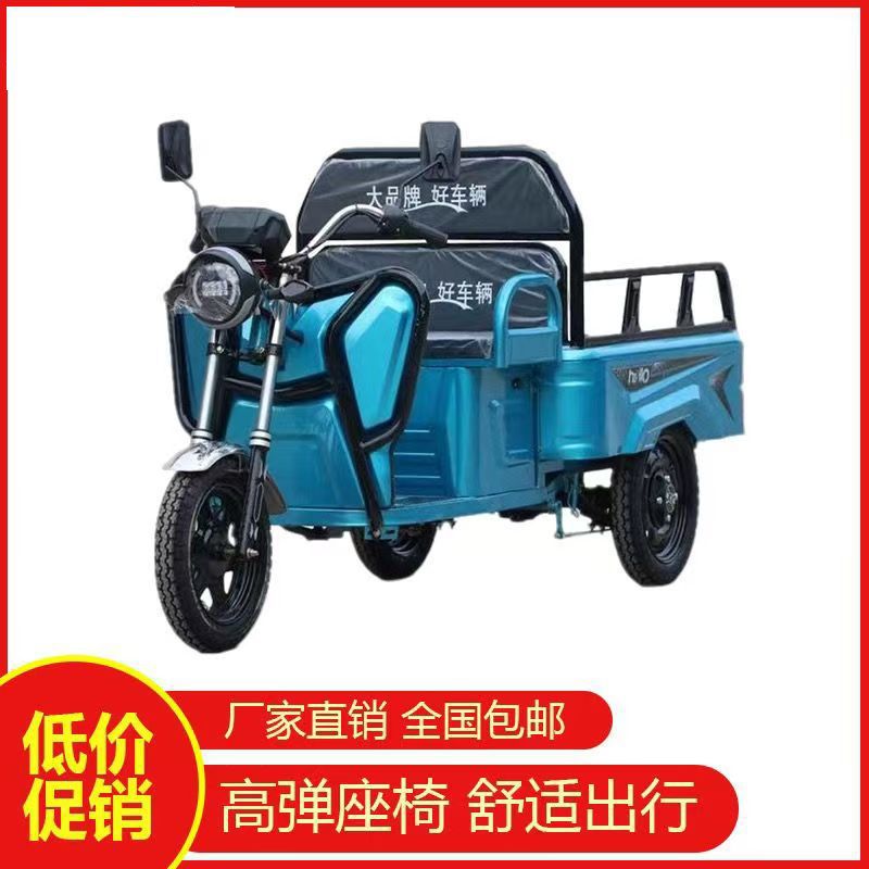 电动三轮车成人小型老人迷你接送孩子货车拉货老年代步车三轮新款