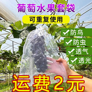 Fruit Tree Insect-Proof Net Bag, Bird-Proof Gauze Bag, Grape Bag, Fig, Guava, Strawberry Bagging, Peach Bagging