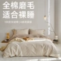 阿克苏加厚100s磨毛长绒棉