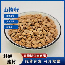 水洗山楂籽 儿童游乐场沙池用颈椎枕汽车坐垫填充用无杂质抛光山