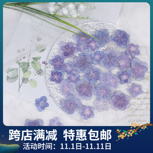 Double Hydrangea Dried Flower Embossed Flows Drops of Glue Handmade DIY Photo Frame Aromatherapy Beauty Material Bag