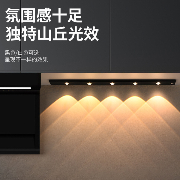 physiological induction lamp