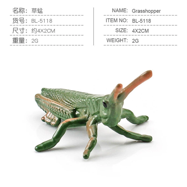 BL-5118 Grasshopper 2g