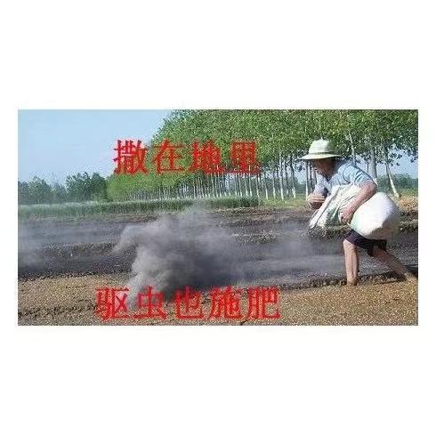 b819cacb-54d4-4cd4-a6f1-38c768d33d69.jpe