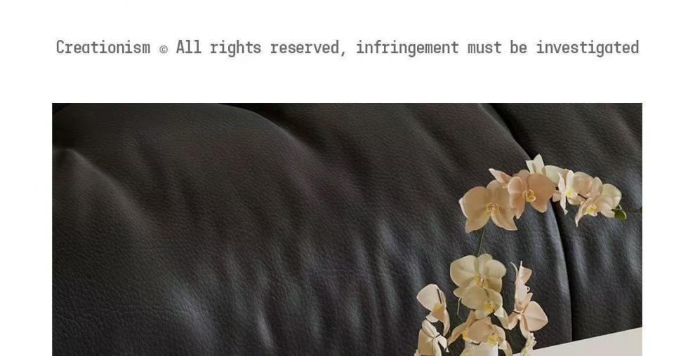 1cad0e9b-f7c4-4ad9-8f95-ddcc27054ac2.jpe