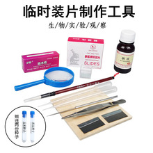 ������������ȫ��ϡ��Һ��������R�r�bƬ����������ƬȾɫ��