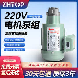 液压齿轮润滑泵220V油泵电机TOP-10A11A12A13A电动机三角泵摆线泵