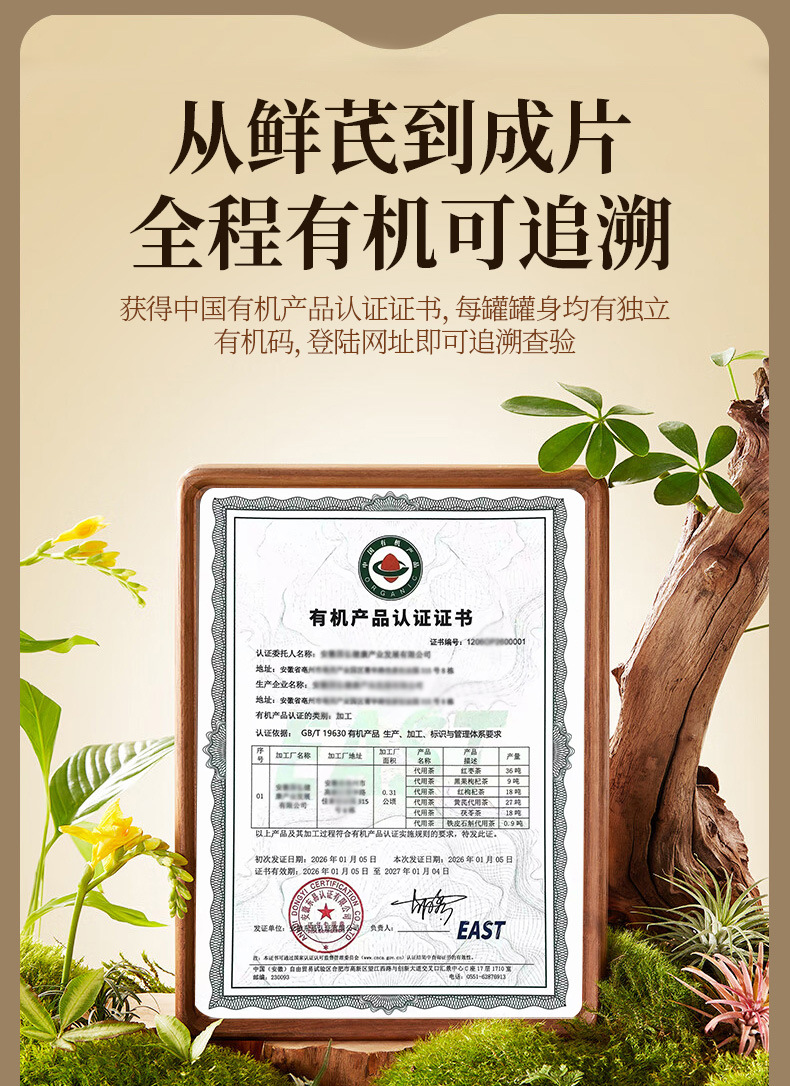 Organic Astragalus Root Slices Huang Qi 200g Canister for Tea and Soup overview