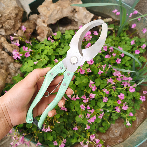 Hardware garden tools fruit tree peeler pruning shears ring cutting scissors green peeling knife ring cutting knife ring cutting shears