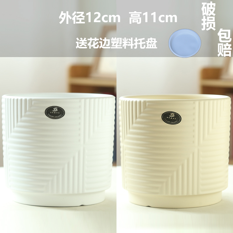 미디엄 마야 2개(매트 화이트 + 레몬 거즈)(트레이 포함)