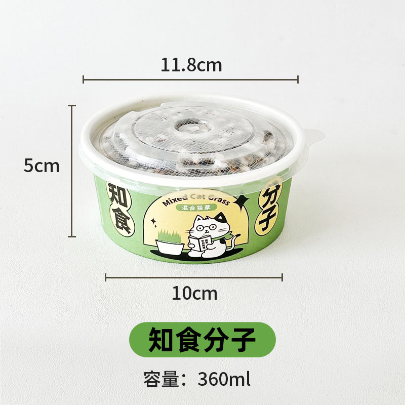 Planta en maceta de hierba para gatos, planta perezosa, taza de hierba para gatos, semillas de hierba para gatos, pelos de menta para gatos, bocadillos de hierba para gatos, fideos instantáneos