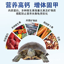 ���}�ߵ������Z������ϲ����{���������r���~������ͨ��������