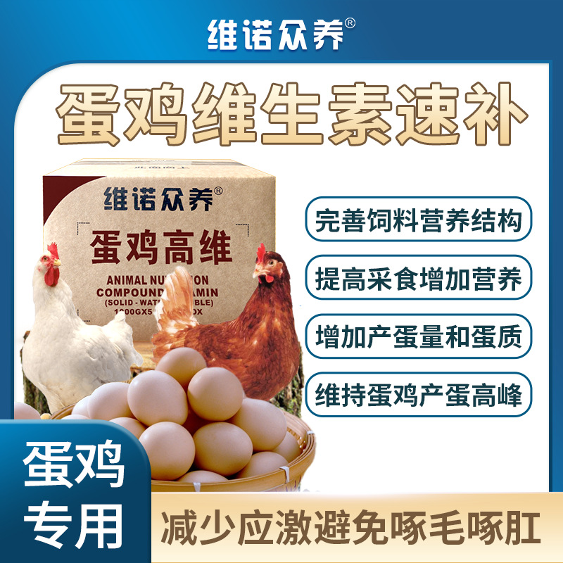 蛋鸡高维 提高产蛋率延长高峰期鸡饲料添加剂多种维生素预混料