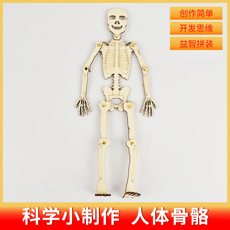 科学小实验套装小学生爆火玩具科教益智玩具科学小制作教具|undefined