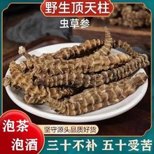 云南虫草参地参干中药材新鲜干货精选大条新货泡酒地蚕草石蚕地笋