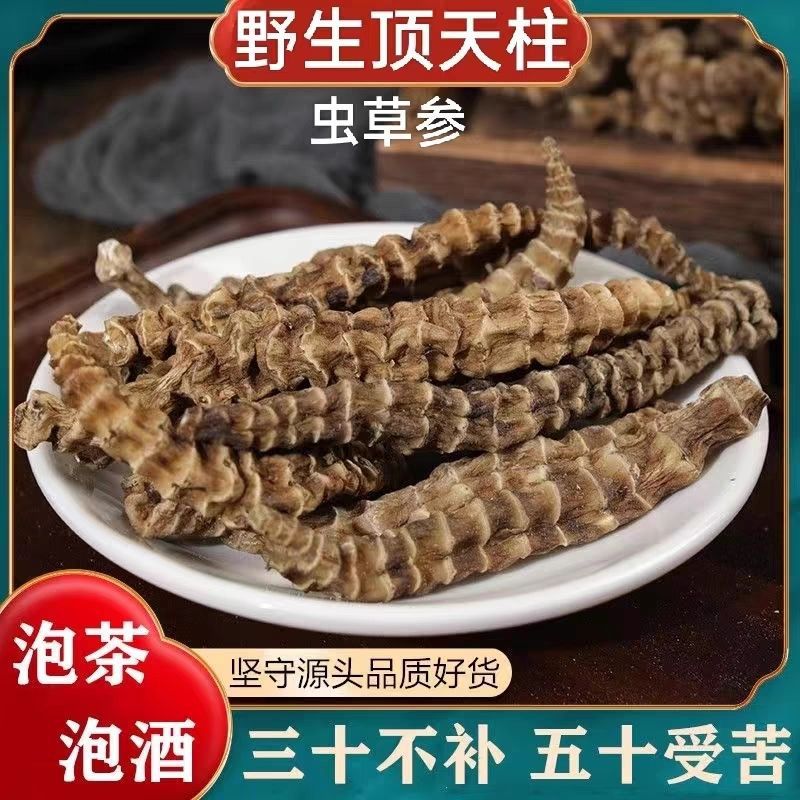 云南虫草参地参干中药材新鲜干货精选大条新货泡酒地蚕草石蚕地笋