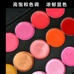 15-color lip gloss plate lipstick plate combination makeup artist special nude color suit popular color makeup plate Studio