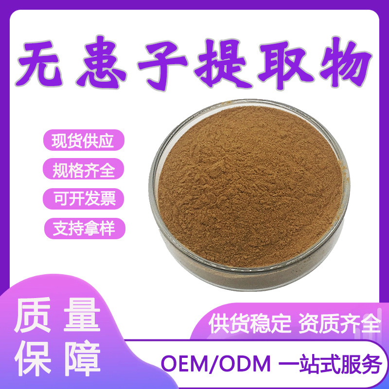 无患子提取物30:1 无患子皂甙40% 洗涤化妆品原料另有无患子皂苷