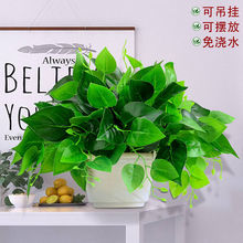 ����G�}�Gֲ�ٻ�����ֲ��Ҿӿ͏d�b����Ԕ[�O�k�������[��