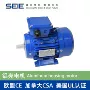 加拿大美国460v60hz电动机