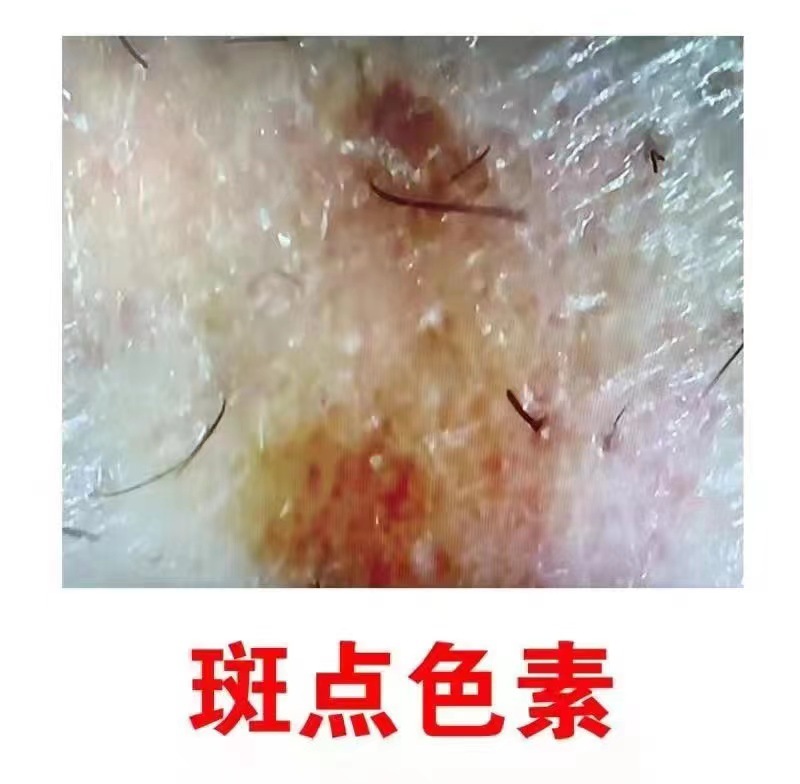 微信图片_20230904115729