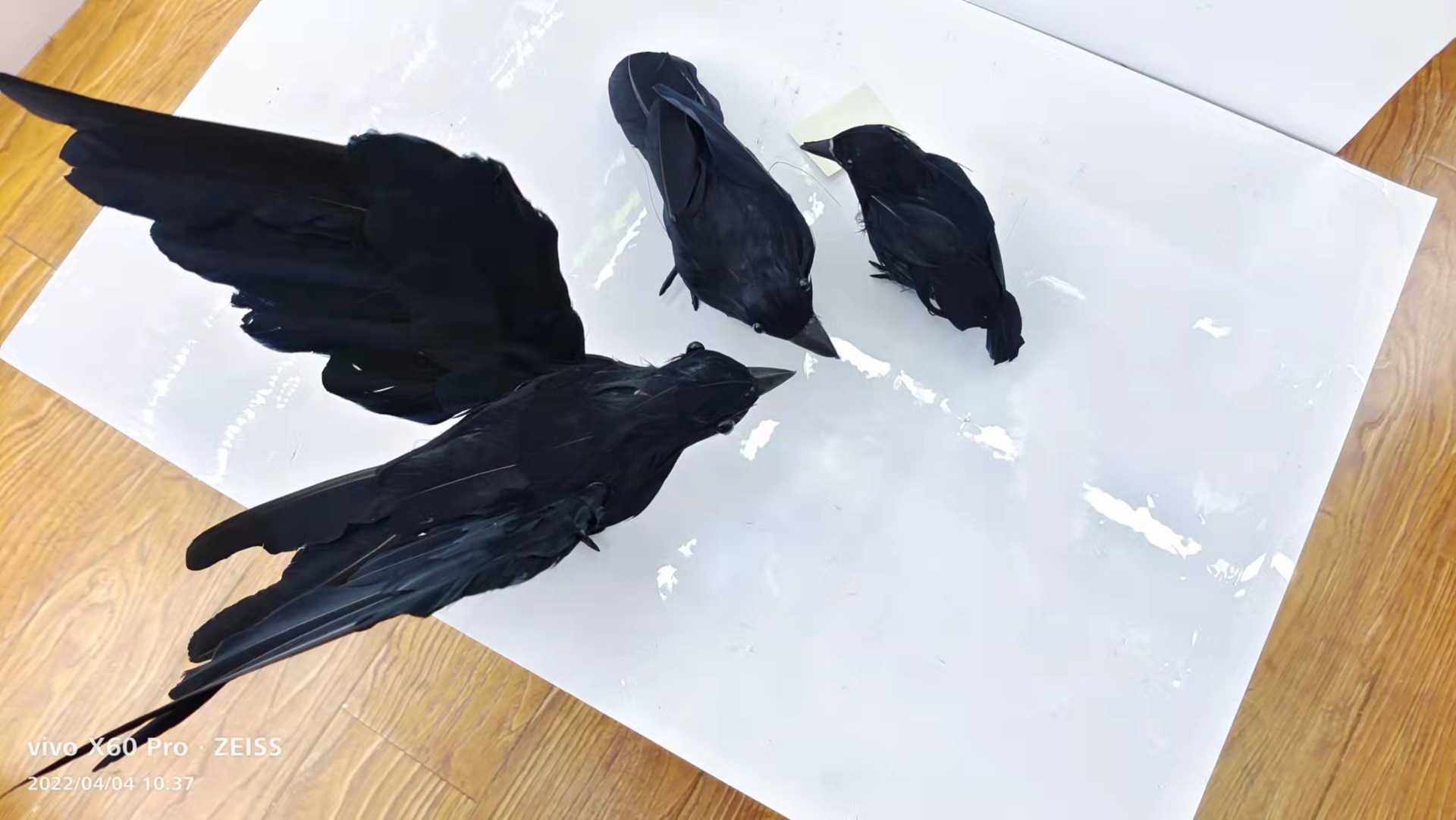 6d6fb681f38fac8595cccbede8d621