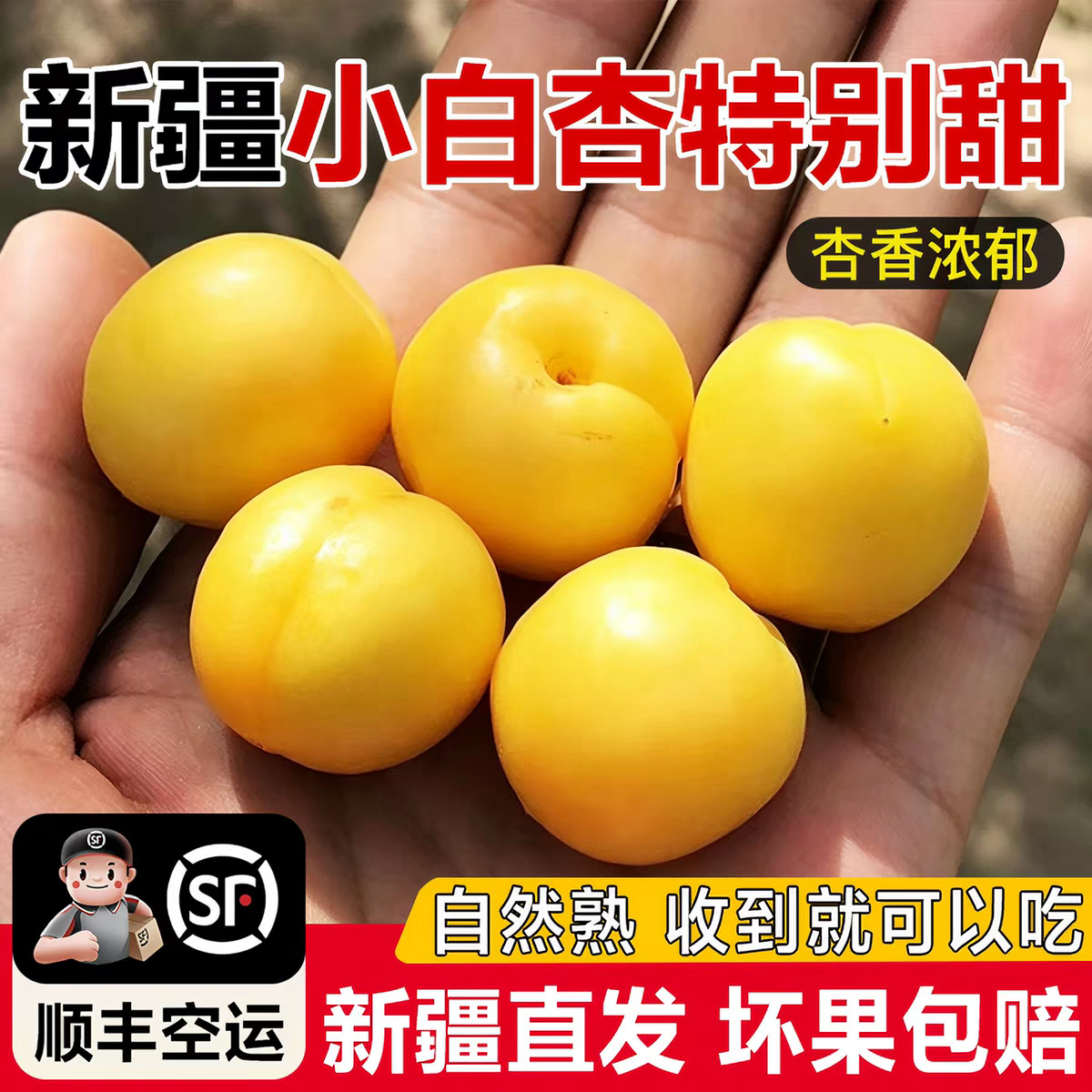 新疆轮台库车小白杏子嫩甜多汁新鲜自然成熟应季水果顺丰包邮
