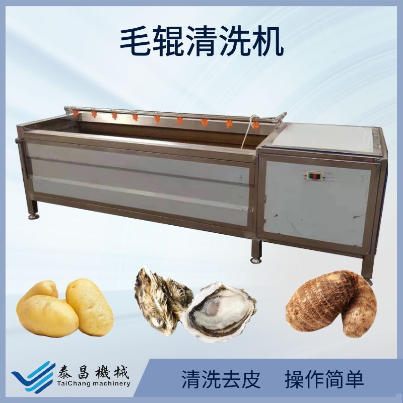 全自动洗姜机山药生姜毛辊清洗机商用海蛎子海鲜清洗预煮生产线