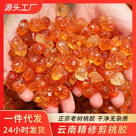 云南天然精修桃胶干净去杂质大颗粒小颗粒罐装大货批发