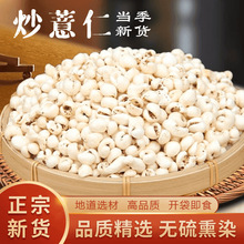 薏米仁炒熟薏仁熟化薏米茶低温烘焙炒薏米炒熟膨化薏米批发