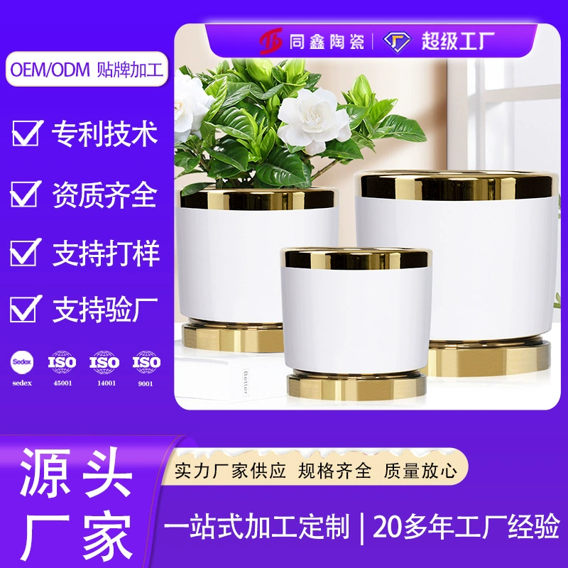 Tongxin керамический в скандинавском стиле легкий роскошный золотой цветочный горшок с подносом свет Роскошная простая гостиная высококачественные украшения для дома цветочный горшок