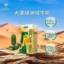 1L*12盒宁夏塞北牧乡大漠绿洲牧场4.0蛋白纯牛奶全脂纯牛奶家庭装