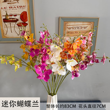 ��������m���滨��c��Y���b����ٻ��Ĕz�����û������m�ٻ�