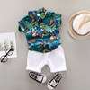 Summer children's sleeves, set, T-shirt, summer clothing for boys, children's clothing, 0-4 years, wholesale