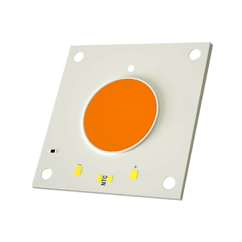 Light source, built-in lamp, high power, custom-made, 100W, 300W, 200W