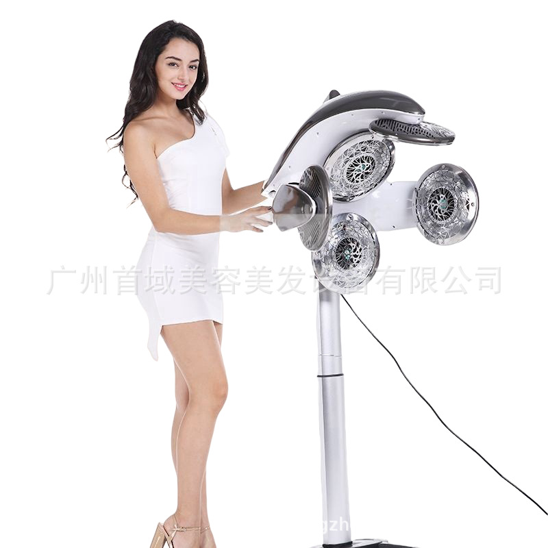 국경 헤어 살롱 헤어 파마 머신 헤어 드라이어 멀티 스마트 헤어 드라이어 이발소 큰 돌고래 헤어 드라이어 난방