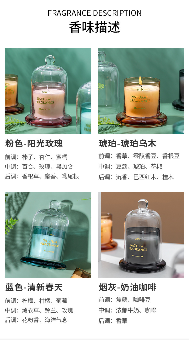 北欧金罩蜡 (4).jpg