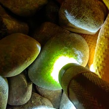 后江翡翠原石 玉石毛料 缅甸帕敢后江场口 翡翠毛料批发 一手货源