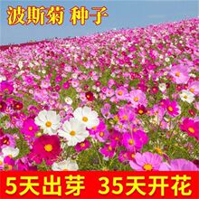 ������˹�ջ��N��һ�����_�����N���ļ��_����ͥԺ�����ɣ���N��