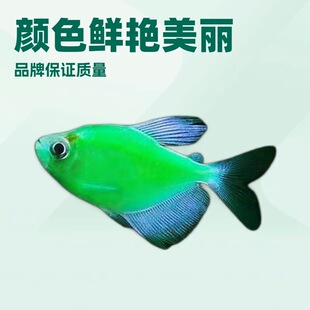 �ǹ���ʹ�~��ͥ�^�p�~���O��С�߲ʟᎧ�~��ʹ�~��̖�ɹ��ͻ���B