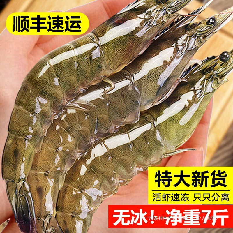 大虾鲜活冷冻超大海鲜水产基围虾鲜虾海虾青虾冻对虾特大生鲜虾类