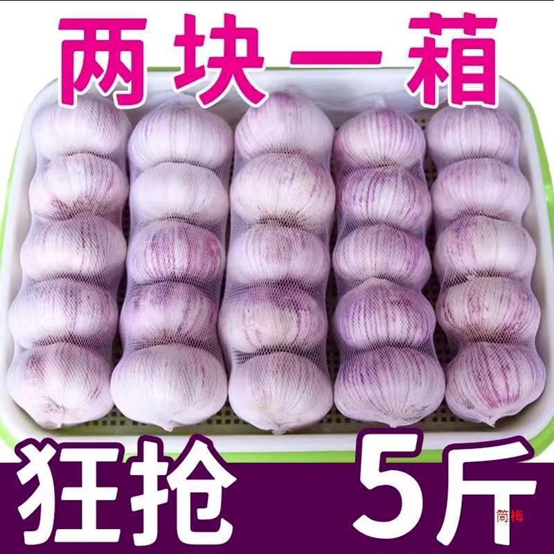 子山东十足红皮大蒜农家自种头干包邮新鲜干批发蒜紫皮大蒜