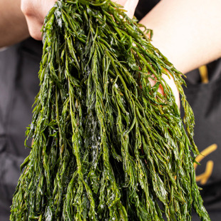 ���ڹS���S�L�۲˛���˺�����˻��ʳ�ı��ݹS�}�n�Rβ���򗫲�